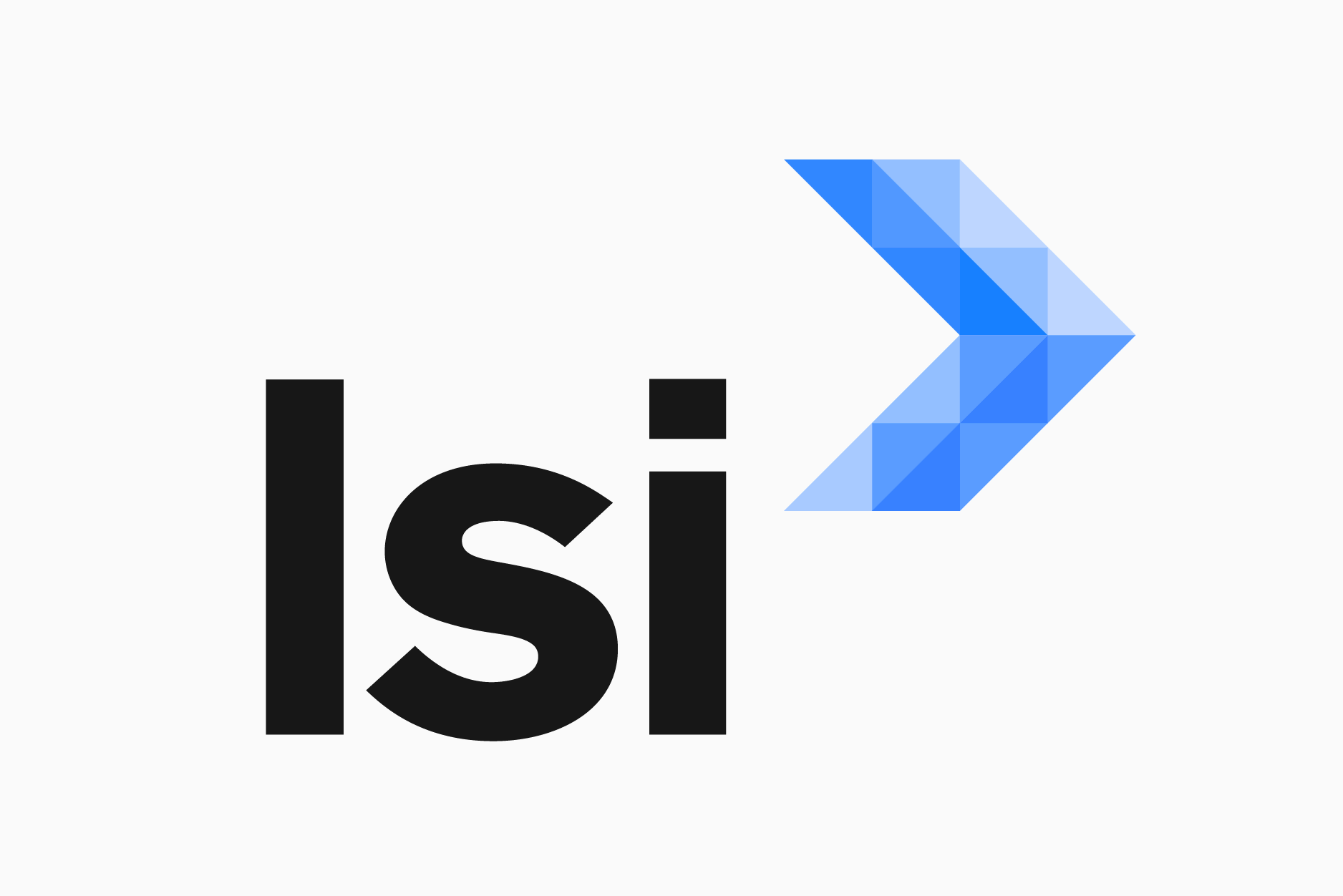 LSI-03-logo-system-3800